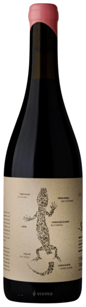 Saroto Tinto 2018